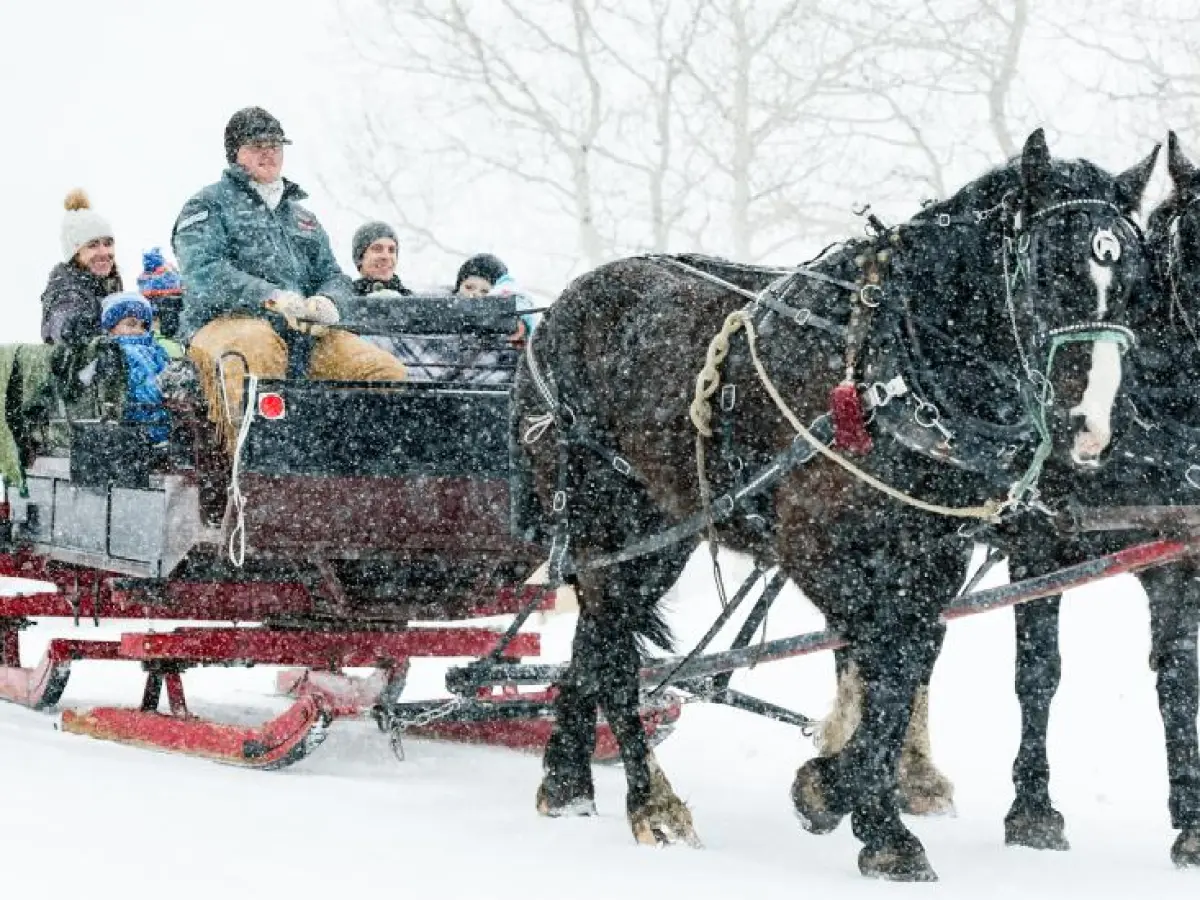 a person riding a horse in the snow