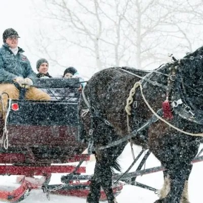 a person riding a horse in the snow