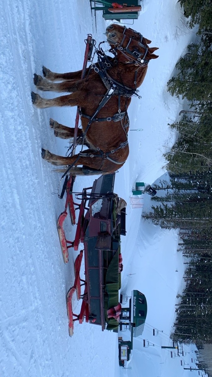 a man riding a horse drawn carriage in the snow