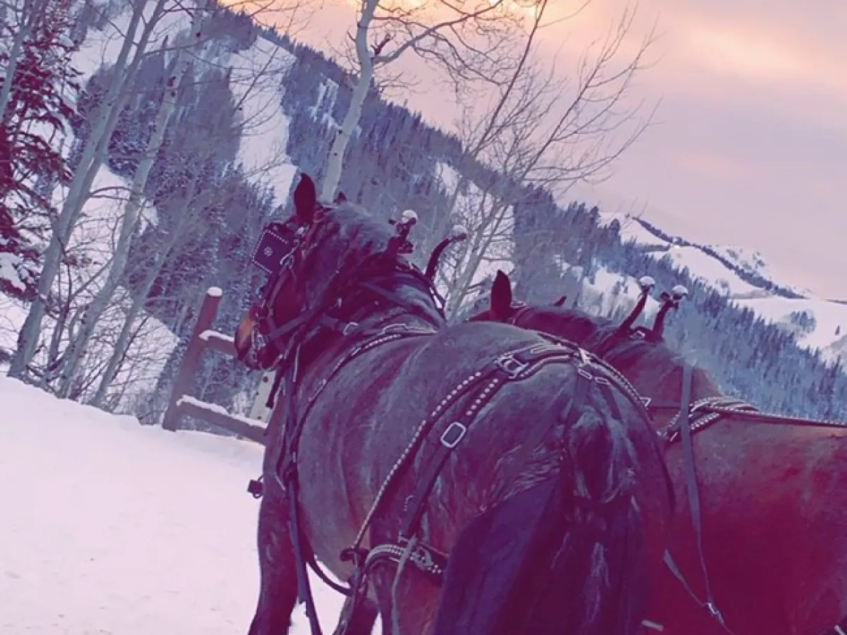 a person riding a horse in the snow