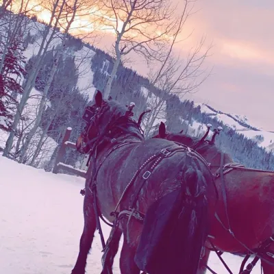 a person riding a horse in the snow