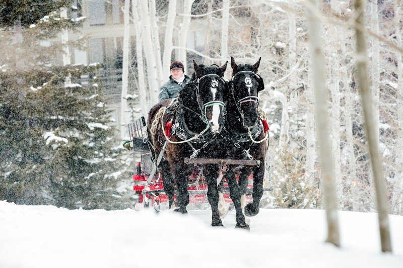 About | Broken Arrow Sleigh Rides