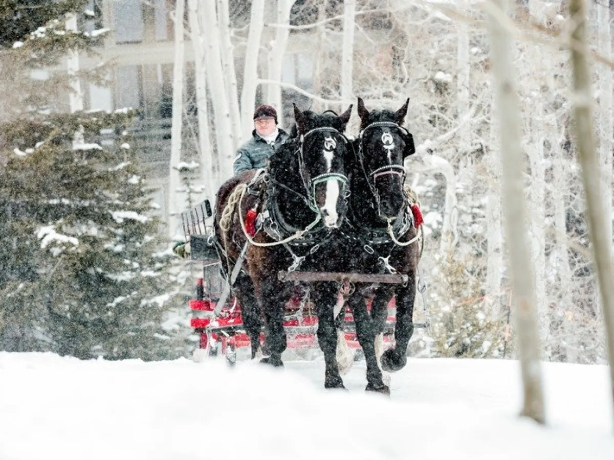 a couple of people that are standing in the snow