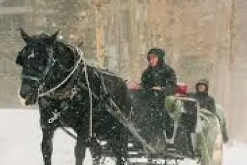 a man riding a horse drawn carriage