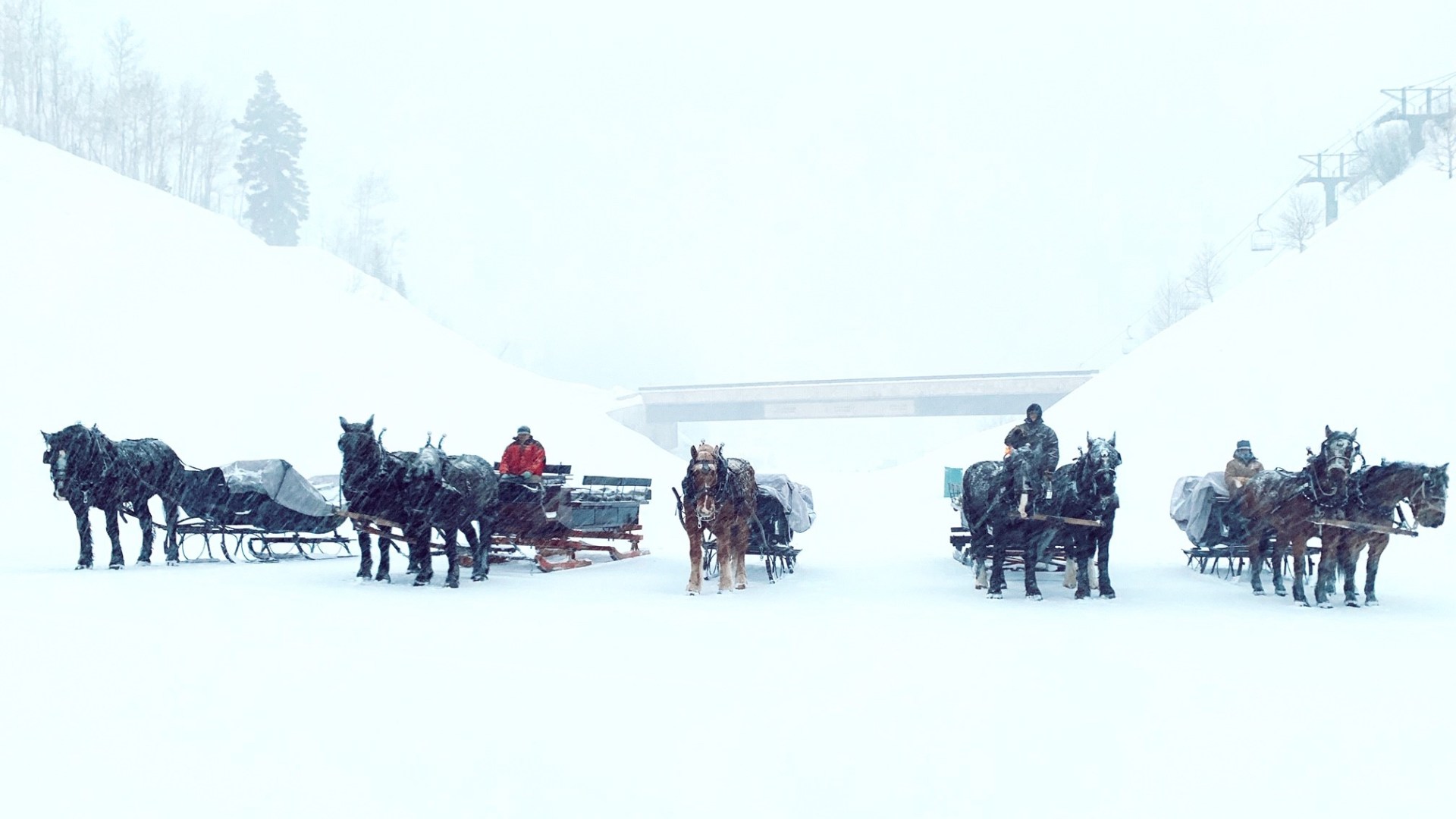 a group of people riding on the back of a horse in the snow