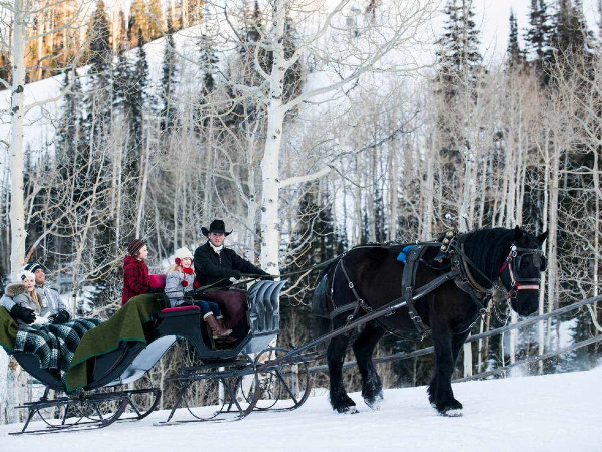 a man riding a horse drawn carriage with people in the snow