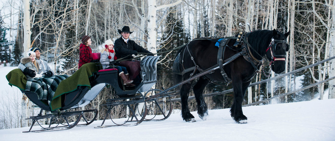 Broken Arrow Sleigh Rides - Photo 1