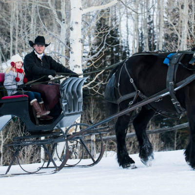 people on a sleigh ride